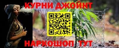 прущие грибы Камышлов