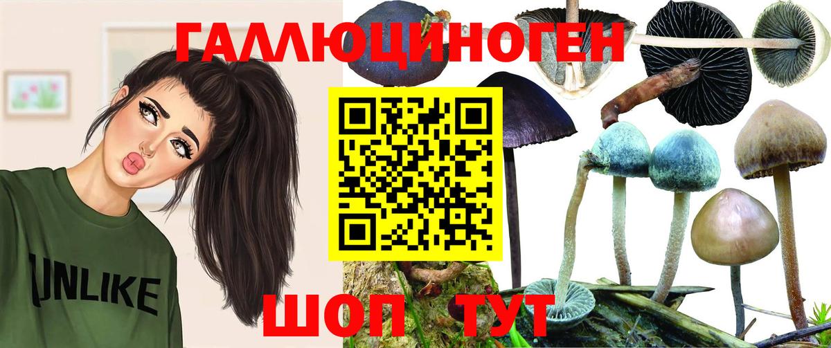 Галлюциногенные грибы MAGIC MUSHROOMS Гусев