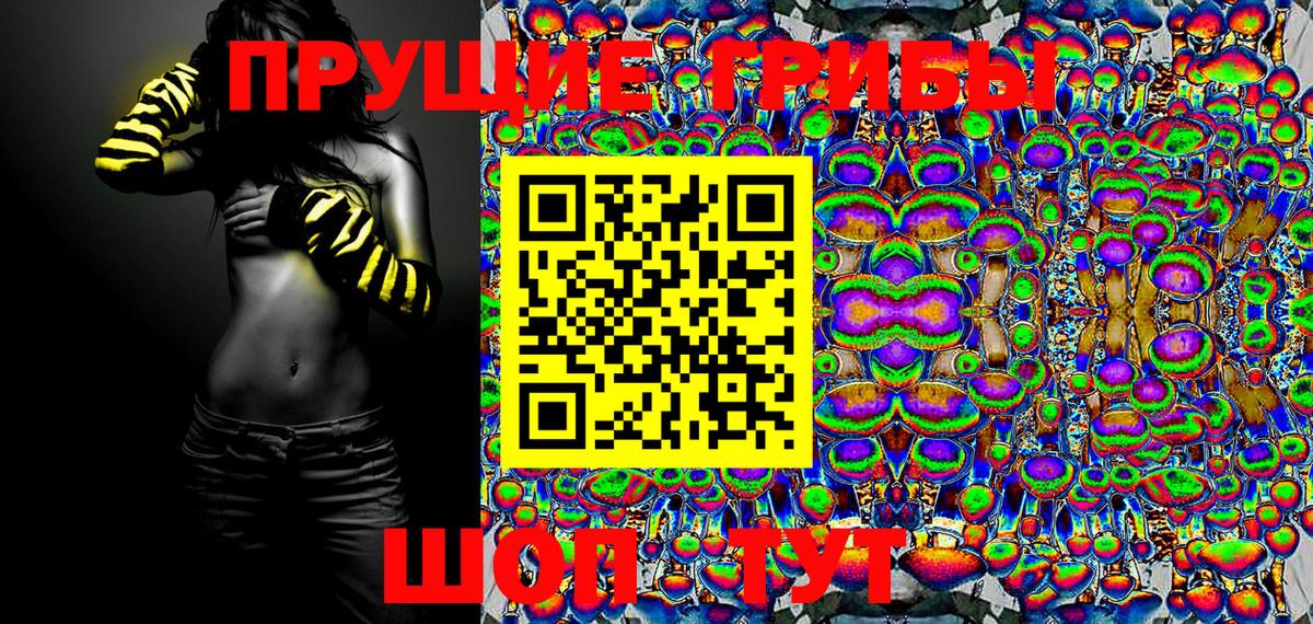Галлюциногенные грибы GOLDEN TEACHER  закладка  Гусев  Вход с VPN 
